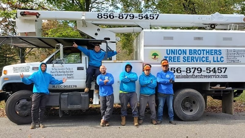 Tree Service Companies